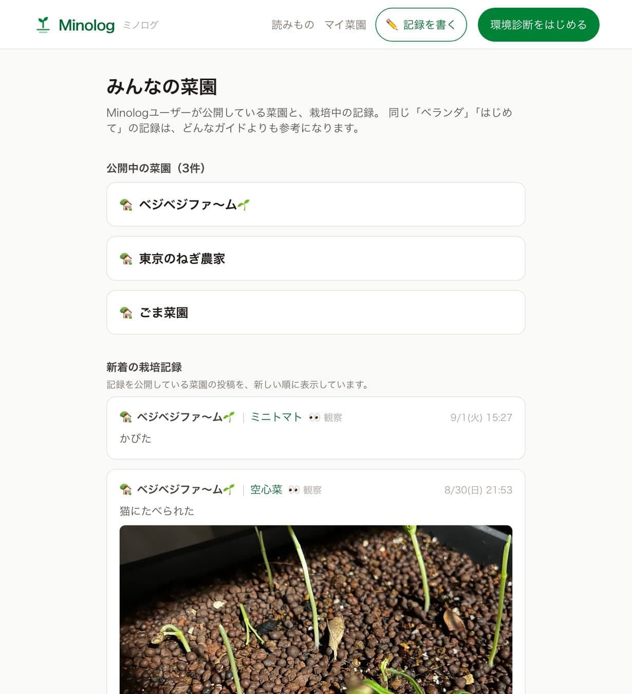 みんなの菜園