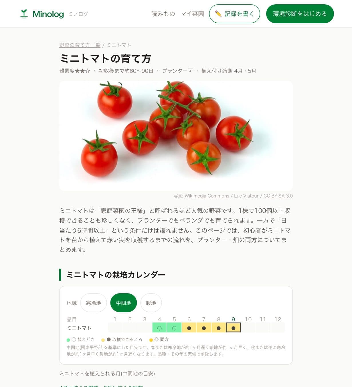 野菜の育て方ページの例